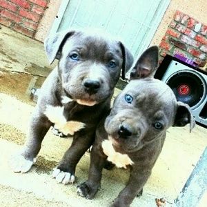 Meet your Posher, Mya